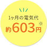 1ヶ月の電気代 約603円