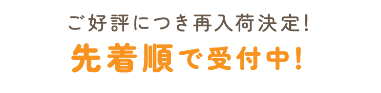 ご好評につき再入荷決定！先着順で受付中！