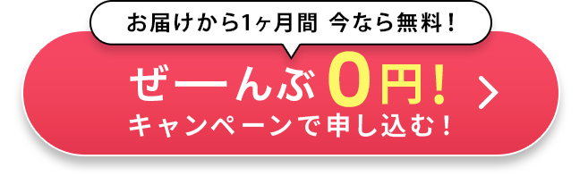 0円キャンペーンで申し込む!