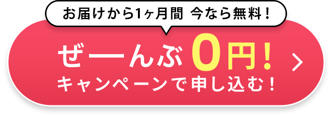 0円キャンペーンで申し込む!