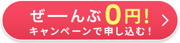 0円キャンペーンで申し込む