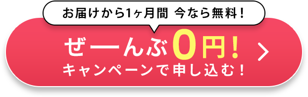 0円キャンペーンで申し込む!