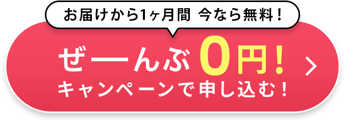 0円キャンペーンで申し込む!