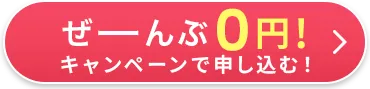 0円キャンペーンで申し込む