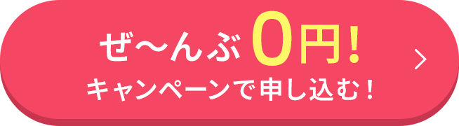 0円キャンペーンで申し込む!