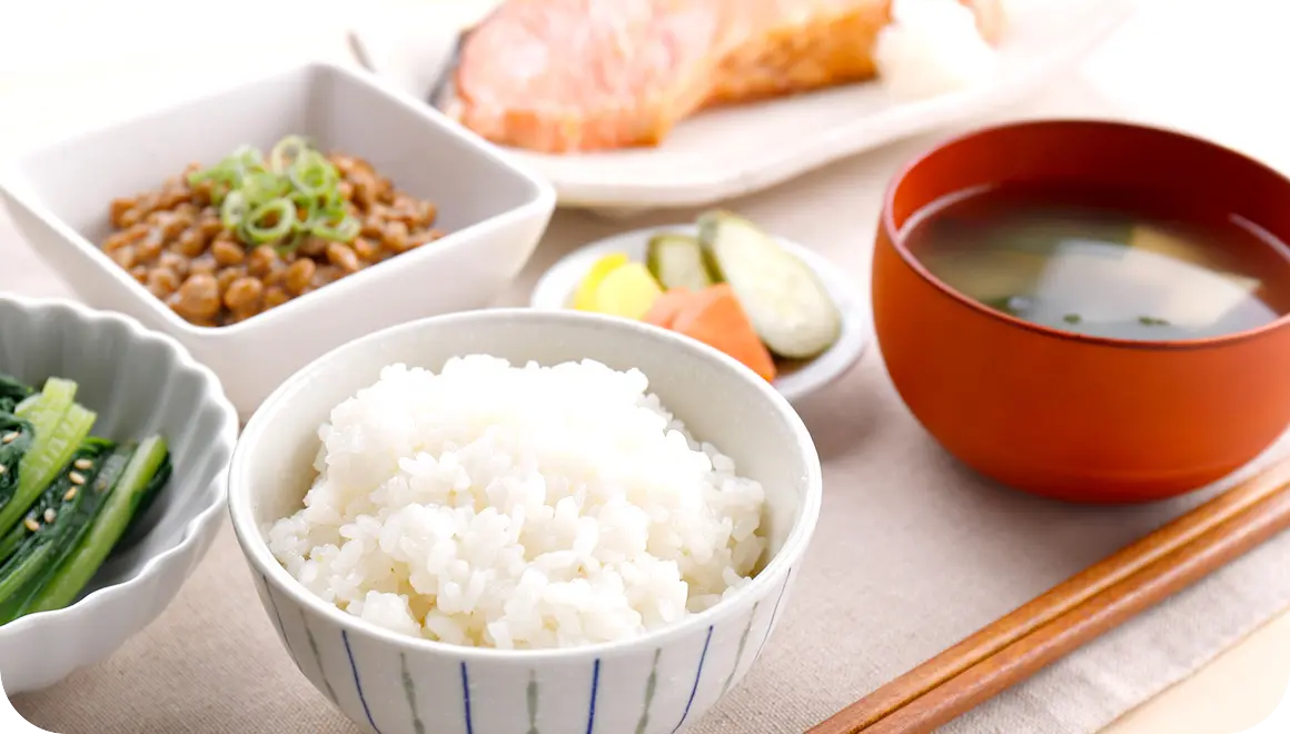 お水で変わる感動的なご飯の味わい