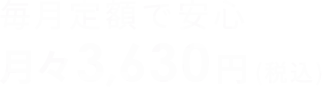 毎月定額で安心 | 月々3,300円(税込)